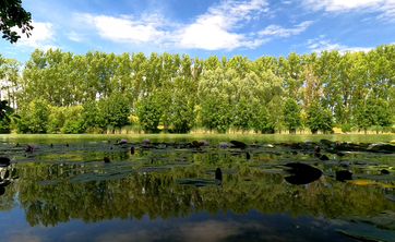 Jezioro na terenie kampusu